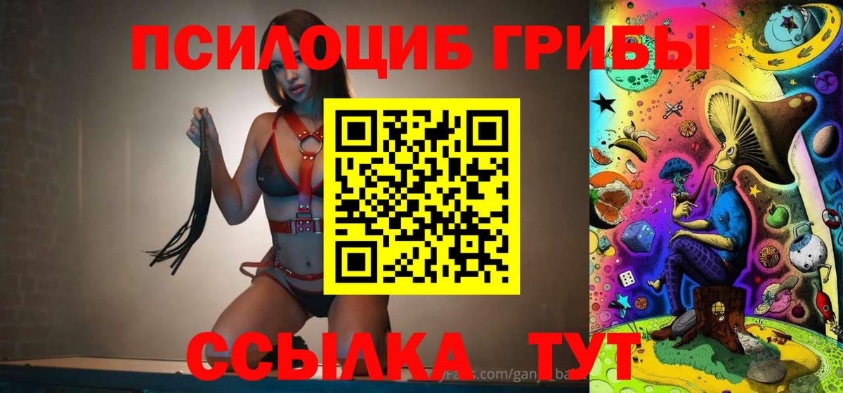 Канаш  Псилоцибиновые грибы мухоморы  Вход с VPN 